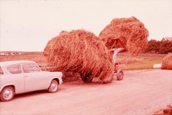 Kjøring av høy med høysvans fra Kvernelands Fabrikk AS på tr