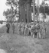 Luftskyddsövning på F 2 Roslagens flygflottilj, 1938. Militärer i gasmasker drar en kärra.