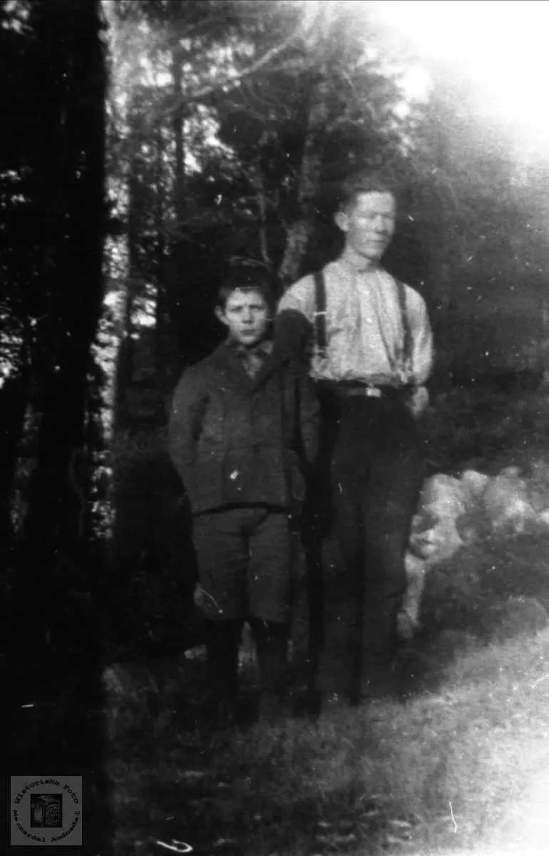 Portrett John Kristian og Torkel Hjemlestad, Bjelland.