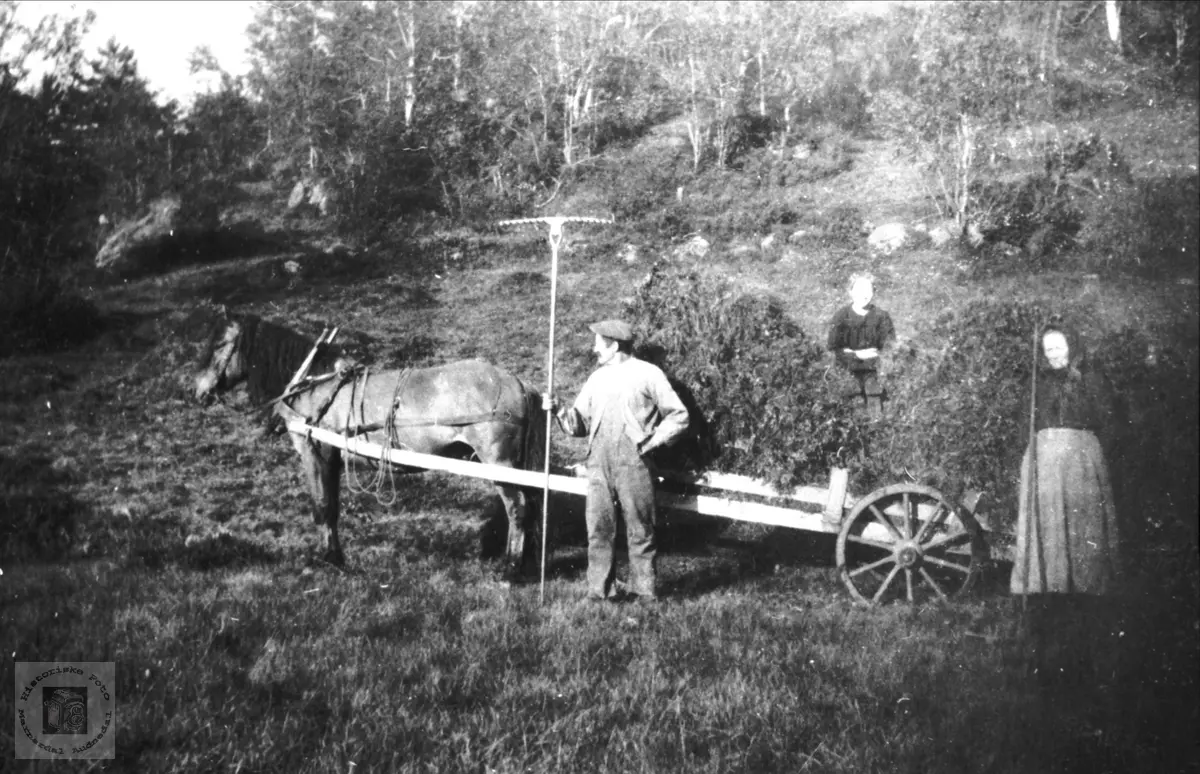 På jordet i Mjunåsen, Laudal.