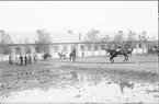 Generalinspektion av kavalleriets aspirantskola av generalmajor Reinhold von Rosen (kavalleriinspektör 1922-1930).