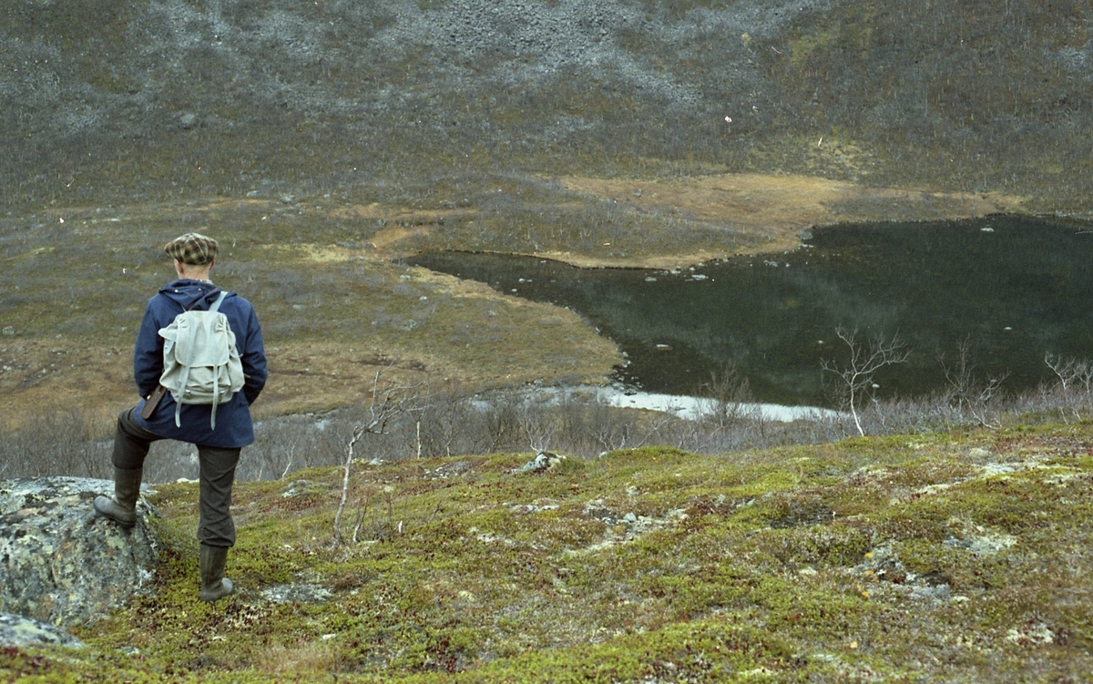 Strielvdalen ved Djupfjorden i Sortland høsten 1980. Vestenden av Nedre Strielvvatn (318 moh.).