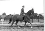 Ridkurs 12/10 1954-13/5 1955 Strömsholm.Sergeant Ewert Olausson på 