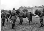 Ridkurs 12/10 1954-13/5 1955 Strömsholm.Sergeant Ewert Olausson  med hästen 