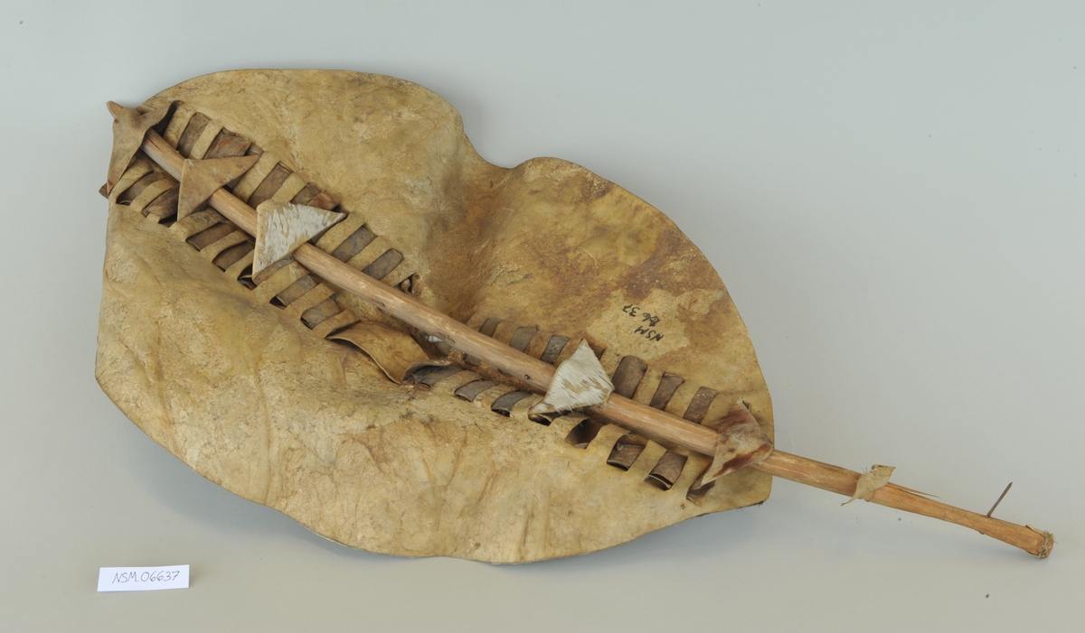 Dyreskinn montert på trepinne.