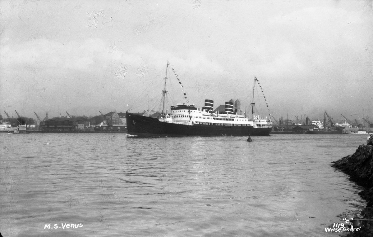 M/S Venus (b. 1931, Helsingørs Jernskibs- og Maskinbyggeri, Helsingør ...