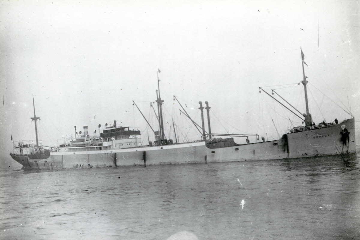 M/S Brynje (b.1926, A/S Burmeister & Wain’s Maskin- & Skibsbyggeri, København)