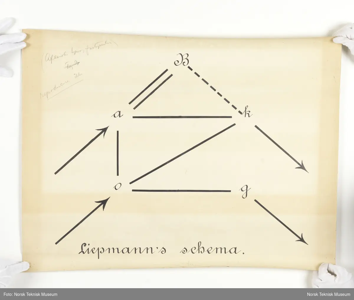 Plansje med tegning og tekst: Liepmann's Schema