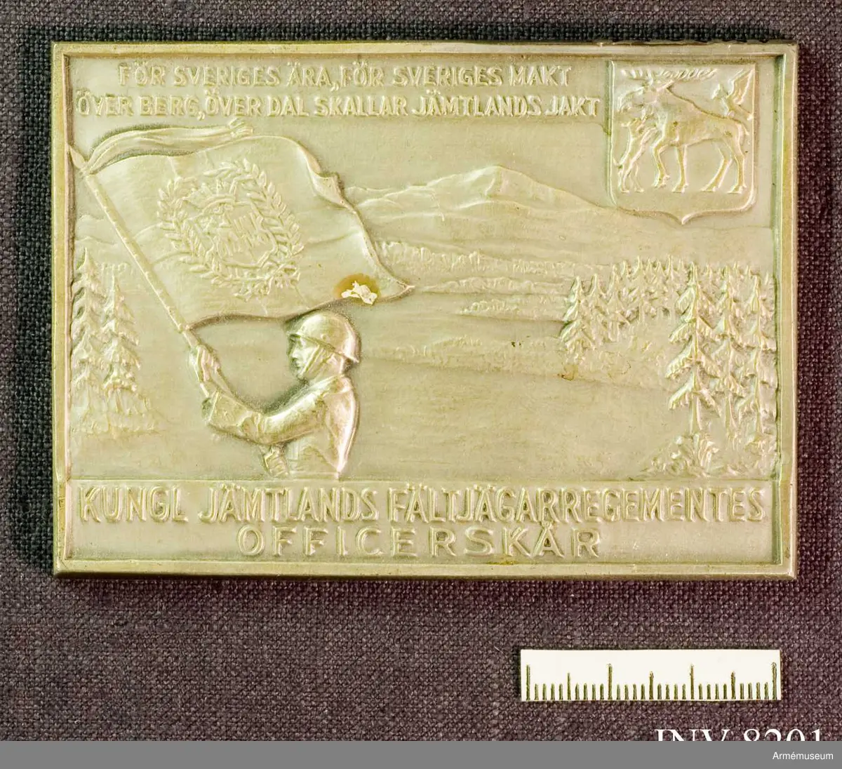 På åtsidan är avbildad en soldat med Jämtlands fältjägarregementes (I 5) fana, i övre högra hörnet Jämtlands vapen, allt i relief. På frånsidan är mottagarens namn, samt årtal ingraverade.

Plaketten förvaras i blå ask, invändigt klädd i blå sammet.