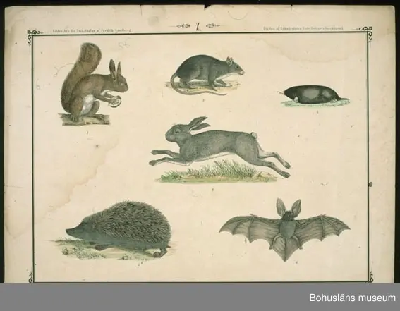 Ur handskrivna katalogen 1957-1958:
Ark för Små-Skolan
14 st. Gåva av Fredrik Sandberg.