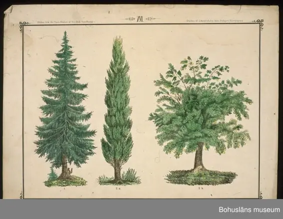 Ur handskrivna katalogen 1957-1958:
Ark för Små-Skolan
14 st. Gåva av Fredrik Sandberg.