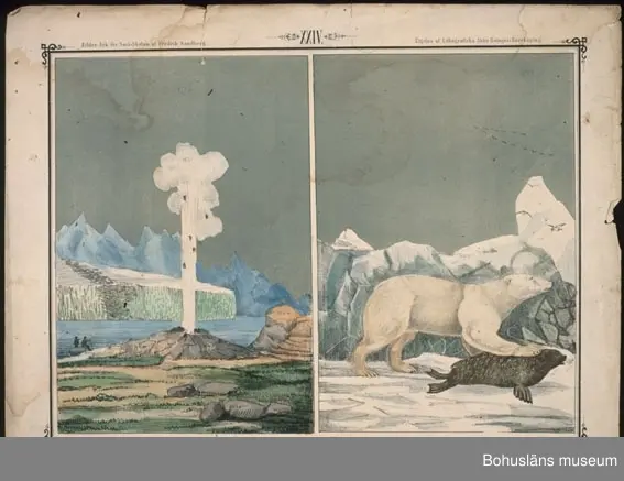 Ur handskrivna katalogen 1957-1958:
Ark för Små-Skolan
14 st. Gåva av Fredrik Sandberg.