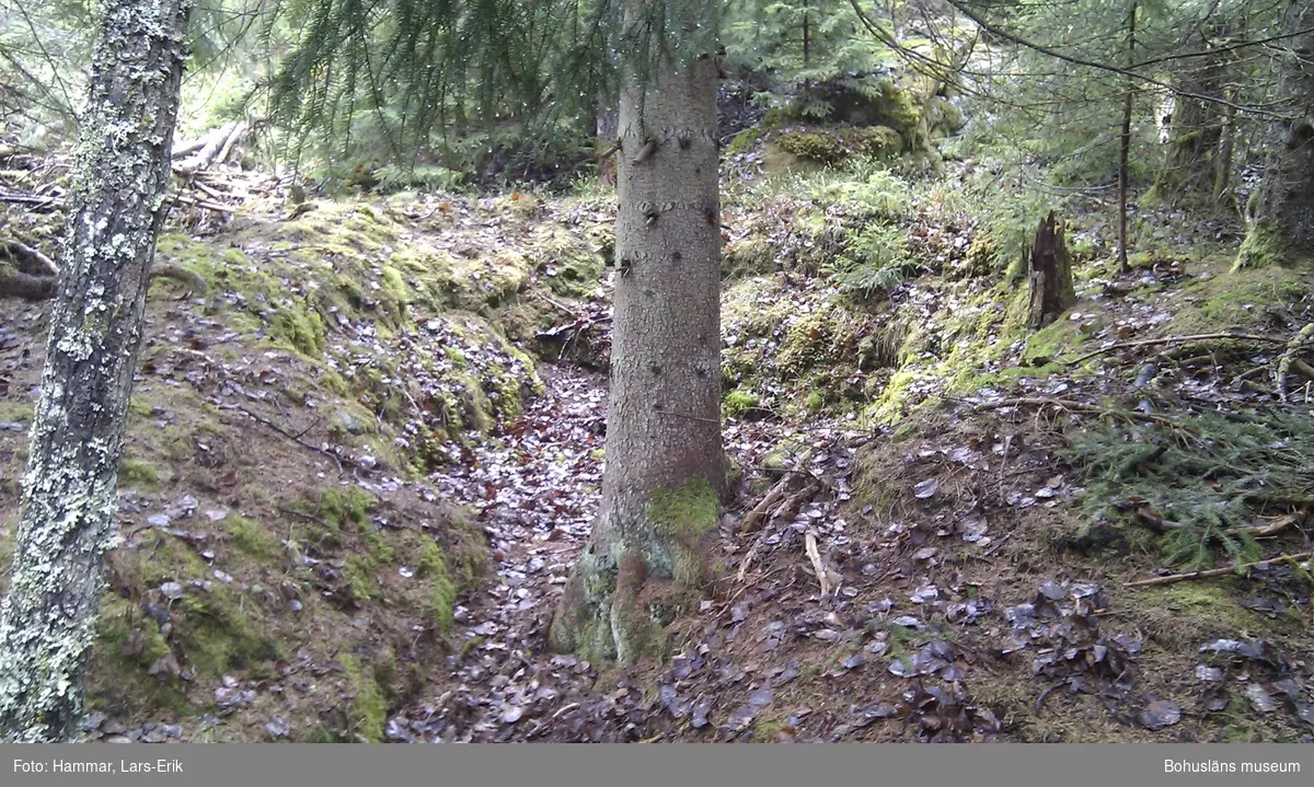 Här på det så kallade Skojareberget bodde på 1800-talet och vid 1900-talets början ett flertal familjer ur resandefolket. De försörjde sig på hantverk och handel som bedrevs i både Sverige och Norge.

Her på det såkalte Skojareberget bodde på 1800-tallet og på begynnelsen av 1900-tallet flere familier av romanislekt. De livnærte seg av håndverk og handel som ble bedrevet i både Sverige og Norge.