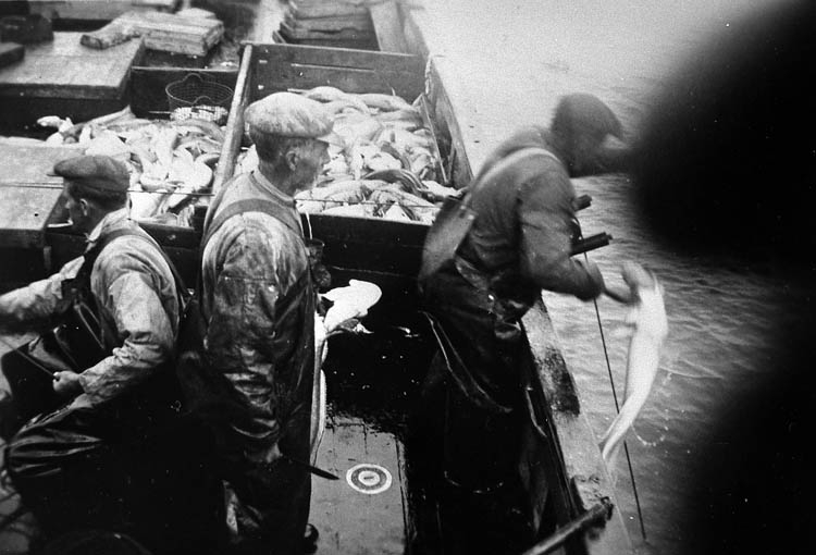 Enligt tidigare noteringar: "Ombord LL 59 "Olive" av Grundsund. Pågående backfiske vid Shetlandsöarna. Vid relingen Hjalmar Gullman, sittande vid vinschen Paul Gullman, stående mellan de båda Anders Gullman. 
Repro foto tillhörande Ernst Gullman".