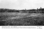 Gravfältet vid Greby.
Sverigebilder Svenska Turistföreningen. Bohuslän 43.
Foto: M. Jacobson.
Bohuslän är synnerligen rikt på minnen från forntiden.
De resta stenarna, bautastenarna, härstammar från
järnåldern. Gravfältet vid greby är det märkligaste från
Denna tid.