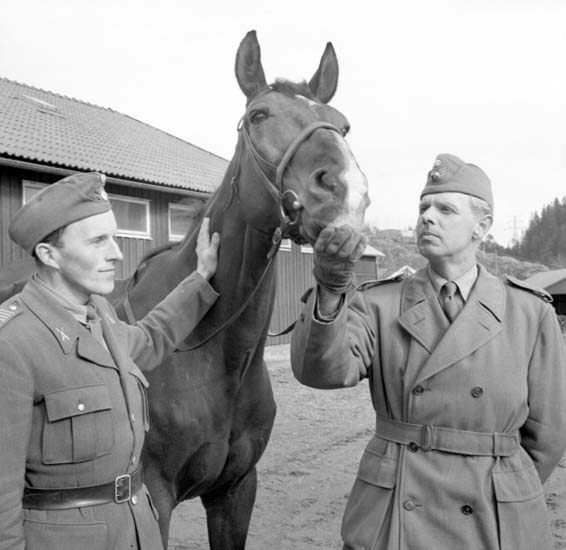 Enligt notering: "Ridhästar I17 7/4 -59".
