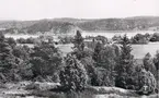 Lingatan, Hallinden
