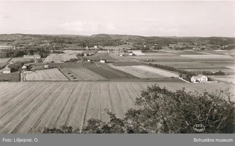 Tryckt text på kortet: "Lökeberg. Utsikt över Vävra".
"Ensamrätt & Foto: O. Lilljeqvists Konstförlag. Dals Långed. G291".
"Förlag: A. Elfström, Lökeberg".