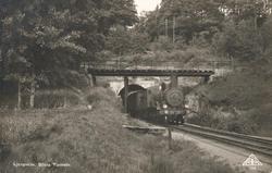 Tryckt text på kortet: "Ljungskile. Södra järnvägstunneln".
