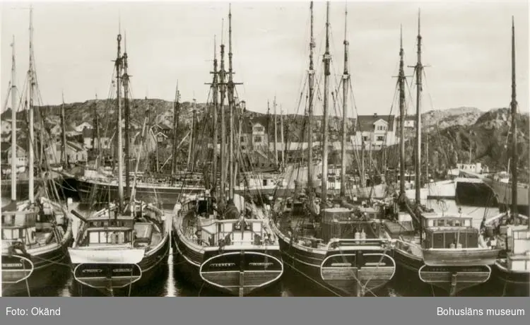 Tryckt text på kortet: "Skärhamn. Hamnen."
"Foto o. ensamrätt: Ruckmans Bokhandel, Skärhamn."