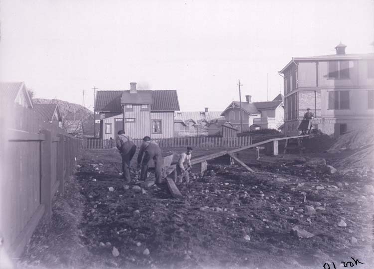 Enligt text som medföljde bilden: "Gräfning vid Stugan, Lysekil Nov. 10."