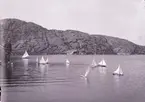 Kappsegling med modellbåtar 7 juli 1901