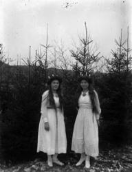 Lussefirande i Bohuslän under 1900-talet