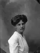 Enligt fotografens journal Lyckorna 1909-1918: 
