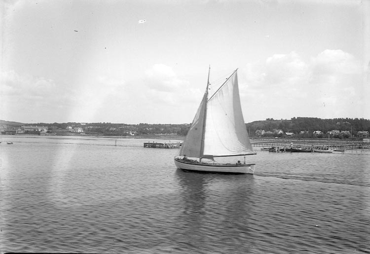 UMFA53690:22337