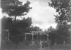 Pergola hos stadsmäklare Kullgren, Stenungsön i september 1926.