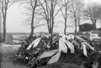 Enligt fotografens journal nr 7 1944-1950: 