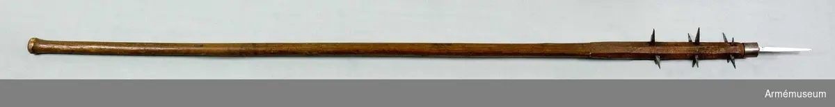 Grupp D I.
Från 1500- eller 1600-talet, Schweiz. Ursprunglig längd 218 cm.