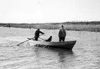 Skrivet på baksidan: Dassow/Crawe
Stämplat på baksidan: 0 32

Fotona är tagna mellan 1966-09-11 - 1966-09-17.