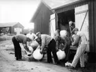 Skrivet på baksidan: Vadblåsorna målas. Öckerö