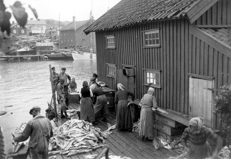 Långaberedning i Grundsund sommaren 1920