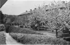 Radhuslängan Nybygget i Jonsered uppförd på 1840-talet. Foto från 1900-talets början.
