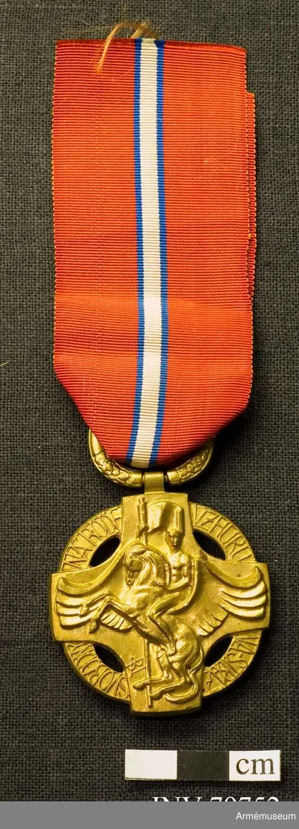 Medalj i form av en rund ring med ett kors ovanpå som sticker ut något utanför ringen, vars inre vinklar är kraftigt rundade. Mitt på framsidan en bevingad kvinna som håller upp en skriftrulle med inskriptionen ZA SVOBODU (För frihet) i sina uppsträckta händer. Mellan hennes ben slingrar sig ormar. I den omgivande ringen en lagerkrans i den nedre delen och åren 1914 och 1918 i den övre.

Baksidan visar en Pegasushäst med en ryttare på, som håller en vajande fana i sin högra hand. Inskriptionsringen har inskriptionen (från nedre vänster till nedre höger) SVOBODNÝ NÁRODE / VZHŮRU NA STRÁŽ.

Bandet är rött, blått och vitt.