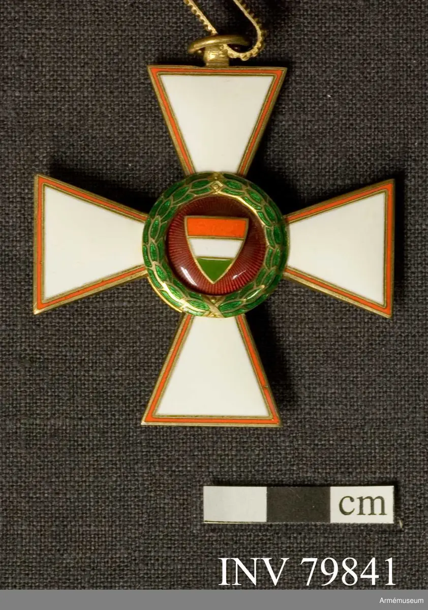 Ett kors med fyra vita emaljarmar, vars kanter bildas av en smal röd rand. Korsets framsida visar en röd emaljerad medaljong med en sköld i Ungerns färger. Det röda mittfältet är omgivet av en grön lagerkrans.

På baksidan sår i korsets mitt årtalet 1946.