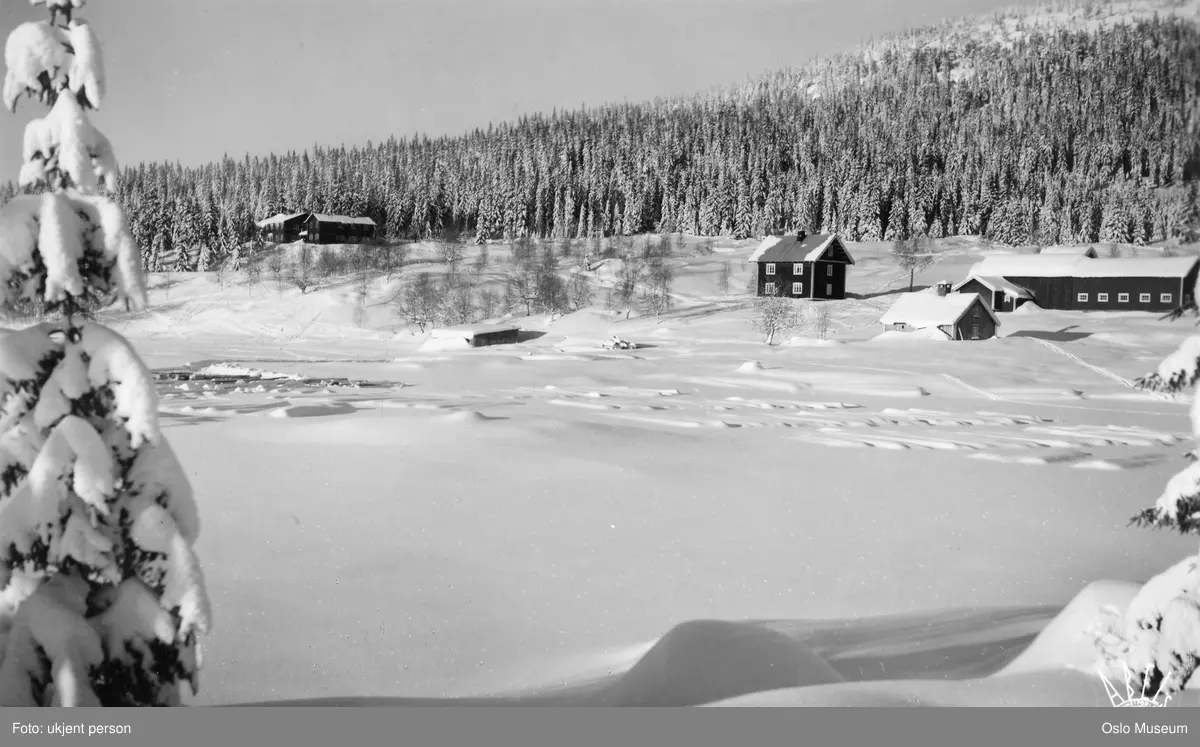 islagt vann, husmannsplass, hytte, skog, snø