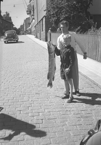 Gäddfångst 1950