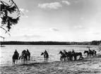2:a jägarskvadronen KFÖ Strömsholm med hästar vid sjöstrand år 1964.