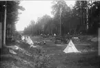 Läger med små tält, hästar och vagnar på brandgata i skog, Uppsala 1895.