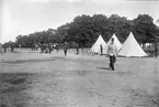 Gevärsställ med gevär uppställda framför tält, vid sidan om promenerande soldater och kvinnor, Uppsala 1895.