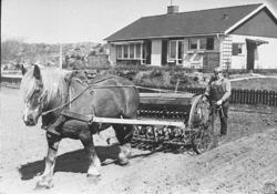 Joel Johansson, Sälvik Fiskebäckskil.