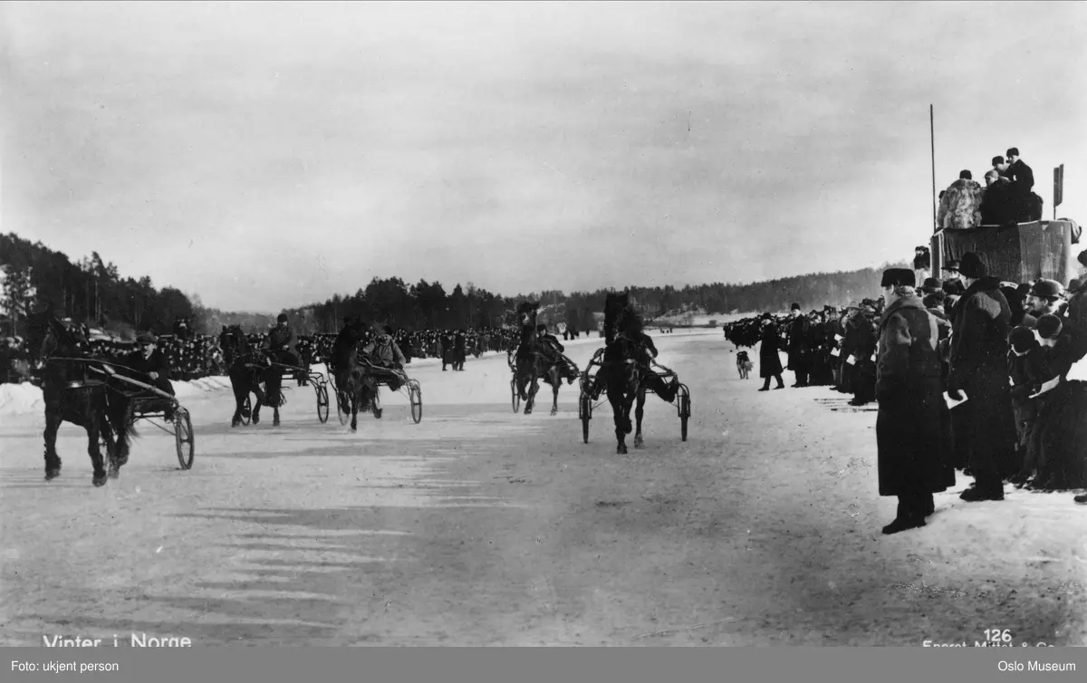 islagt fjord, travløp, hester, tribune, publikum