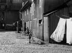 En bakgård med kullersten i Jönköping. Tvätt hänger på tork och två små barn leker med en trehjulig cykel och en dockvagn.