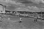 Enköping, Korsängsskolan, Enköpingsutställningen 1955, vy mot öster