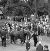 Hembygdsdag i Skärstad den 28 juni 1964.
