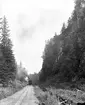 Gripenbergsbanan mellan Jönköping och Vireda, som byggdes mellan åren 1893 - 1900. Här går tåget genom Ingerydsdalen vid berget 