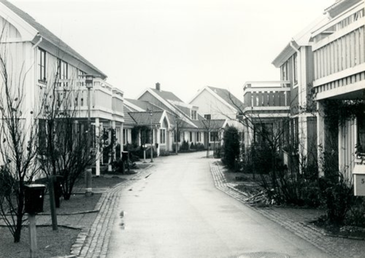 Halmstad, Frennarp. Frennarps bygata. Se Halmstads historia del III sid 264. Foto Lennart Lundborg nov 1985.
